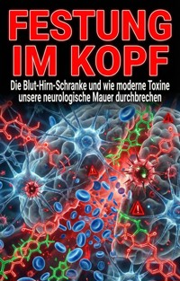 Festung im Kopf - Leonie Stein - E-Book