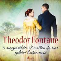 Theodor Fontane – 3 ausgewählte Novellen, die man gehört haben muss - Theodor Fontane - Hörbuch