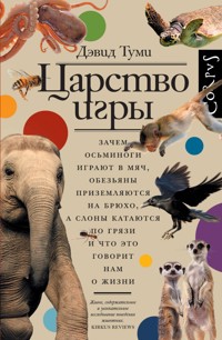 Царство игры - Дэвид Туми - E-Book