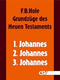 Grundzüge des Neuen Testaments - 1., 2. & 3. Johannes - F. B. Hole - E-Book