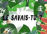 Le savais-tu? - Célia Braud - E-Book