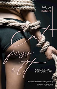Entfesselt - Paula Band 1 - Wanda Hartmann - E-Book