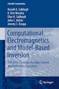 Computational Electromagnetics and Model-Based Inversion - Harold A Sabbagh - E-Book