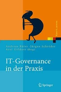 IT-Governance in der Praxis -  - E-Book