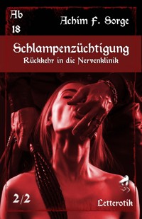 Schlampenzüchtigung: Rückkehr in die Nervenklinik - Achim F. Sorge - E-Book