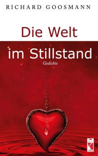 Die Welt im Stillstand - Richard Goosmann - E-Book