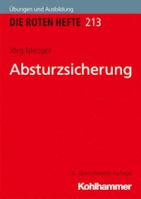 Absturzsicherung - Jörg Mezger - E-Book