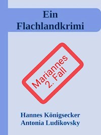 Ein Flachlandkrimi II - Hannes Königsecker - E-Book