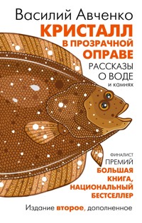 Кристалл в прозрачной оправе - Василий Авченко - E-Book