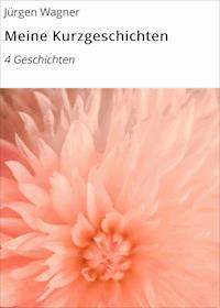 Meine Kurzgeschichten - Jürgen Wagner - E-Book