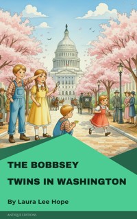 The Bobbsey Twins in Washington - Laura Lee Hope - E-Book