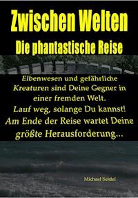 Zwischen Welten - Michael Seidel - E-Book