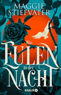 Wie Eulen in der Nacht - Maggie Stiefvater - E-Book