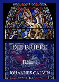 Die Briefe, Teil 1 - Johannes Calvin - E-Book