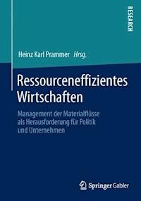 Ressourceneffizientes Wirtschaften -  - E-Book