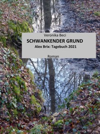 Schwankender Grund - Veronika Beci - E-Book