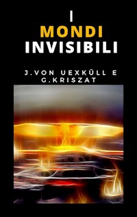 I mondi invisibili - J. VON - E-Book