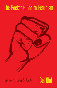 The Pocket Guide to Feminism - Bel Olid - E-Book