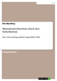 Menschenrechtsschutz durch den Sicherheitsrat - Ute Manthey - E-Book