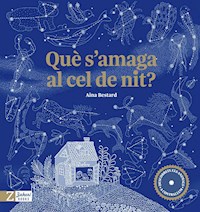 Què s'amaga al cel de nit? - Aina Bestard - E-Book