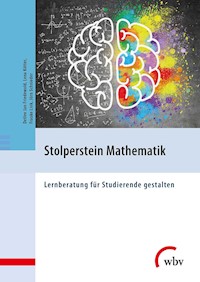 Stolperstein Mathematik - Jörn Schnieder - E-Book