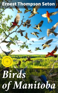 Birds of Manitoba - Ernest Thompson Seton - E-Book