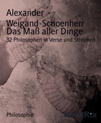 Das Maß aller Dinge - Alexander Weigand Schoenherr - kostenlos E-Book
