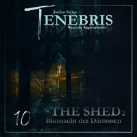 Tenebris, Folge 10: The Shed 2 - Blutnacht der Dämonen - Jordan Styles - Hörbuch