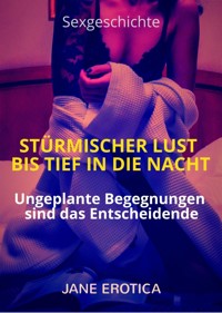 Sexgeschichte: Stürmischer Lust bis tief in die Nacht - Jane Erotica - E-Book
