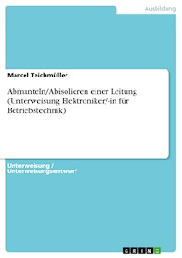 Abmanteln/Abisolieren einer Leitung (Unterweisung Elektroniker/-in für Betriebstechnik) - Marcel Teichmüller - E-Book