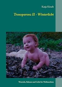 Transparenz II - Winterlicht - Katja Kirsch - E-Book