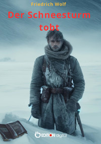 Der Schneesturm tobt - Wolf Friedrich - kostenlos E-Book