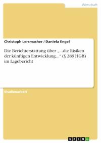 Die Berichterstattung über „...die Risiken der künftigen Entwicklung...“ (§ 289 HGB) im Lagebericht - Christoph Lersmacher - E-Book