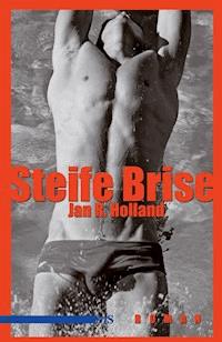 Steife Brise - Jan R Holland - E-Book