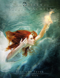 Die Chroniken der Seelenwächter - Band 28: Blut und Feuer - Nicole Böhm - E-Book