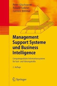 Management Support Systeme und Business Intelligence - Peter Gluchowski - E-Book