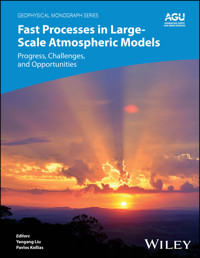 Fast Processes in Large-Scale Atmospheric Models -  - E-Book
