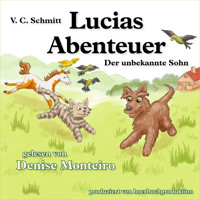 Lucias Abenteuer - V. C. Schmitt - Hörbuch