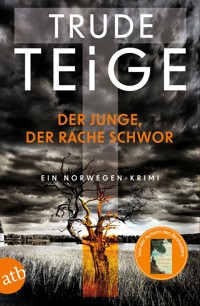 Der Junge, der Rache schwor - Trude Teige - E-Book