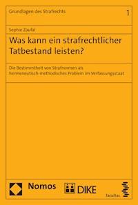 Was kann ein strafrechtlicher Tatbestand leisten? - Sophie Zaufal - E-Book