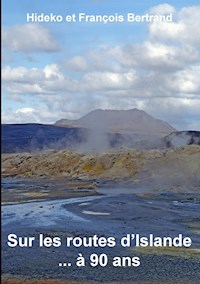 Sur les routes d'Islande ... à 90 ans - Hideko Bertrand - E-Book