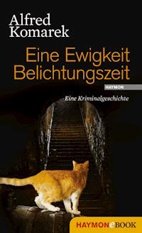 Eine Ewigkeit Belichtungszeit - Alfred Komarek - E-Book