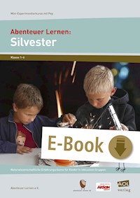 Abenteuer Lernen: Silvester - Abenteuer Lernen e.V. - E-Book