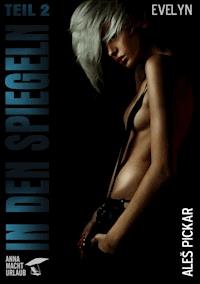 In den Spiegeln - Teil 2 - Aleš Pickar - E-Book