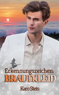 Erkennungszeichen: Brautkleid - Karo Stein - E-Book