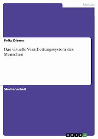 Das visuelle Verarbeitungssystem des Menschen - Felix Diener - E-Book