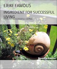 INGREDIENT FOR SUCCESSFUL LIVING - EJERE FAMOUS - E-Book