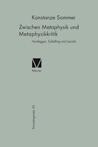 Zwischen Metaphysik und Metaphysikkritik - Konstanze Sommer - E-Book