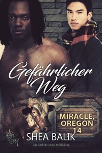 Gefährlicher Weg - Shea Balik - E-Book