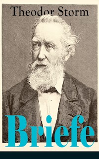 Briefe - Theodor Storm - E-Book
